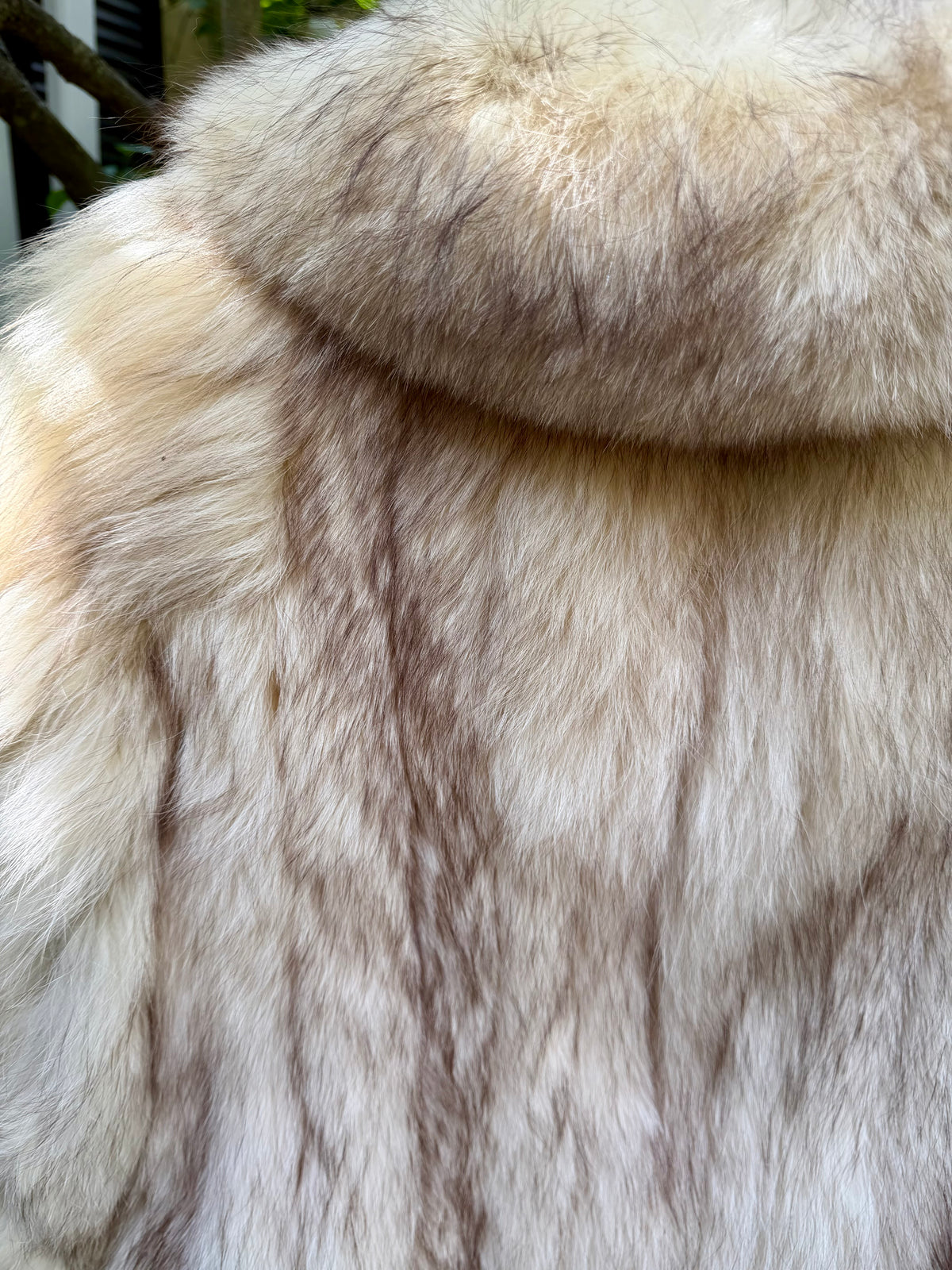 The Champagne Fox Coat