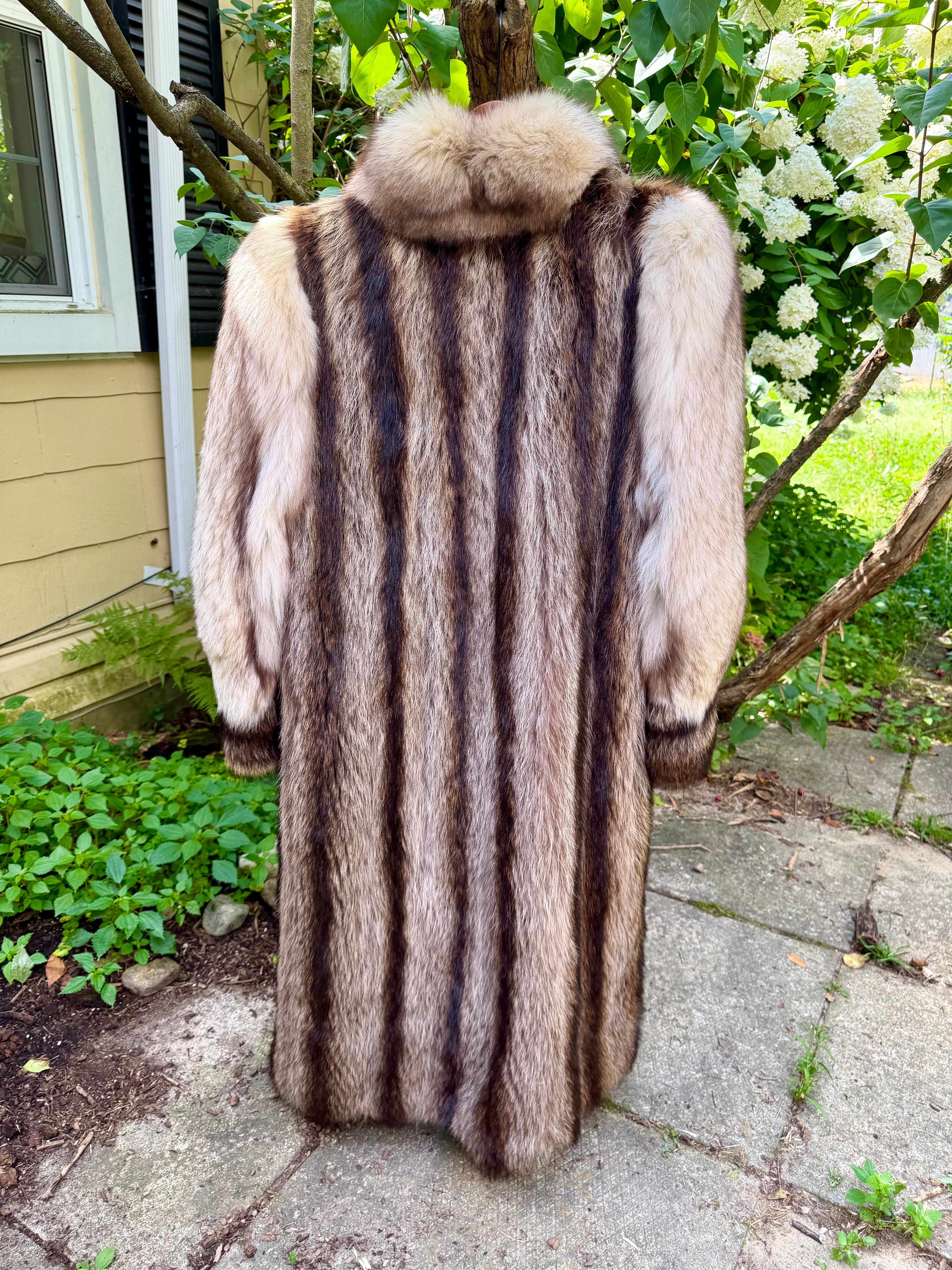 American Raccoon & Silvery Cream Fox Coat
