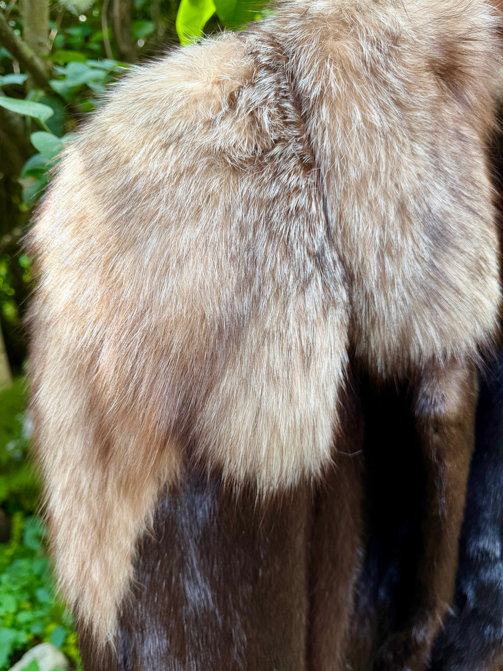 Ranch Mink with Silver Fox Epaulettes