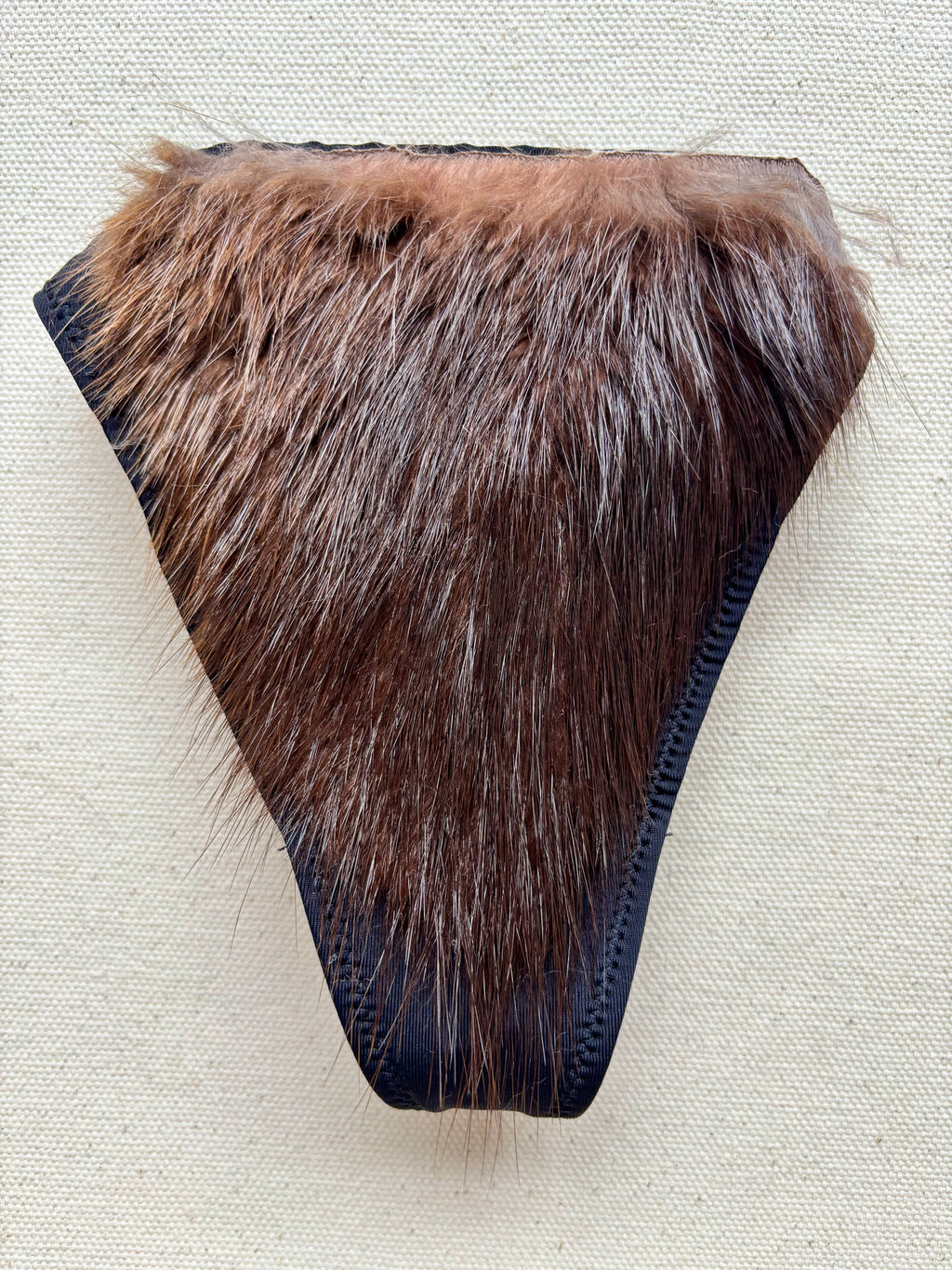 The Original Beaver