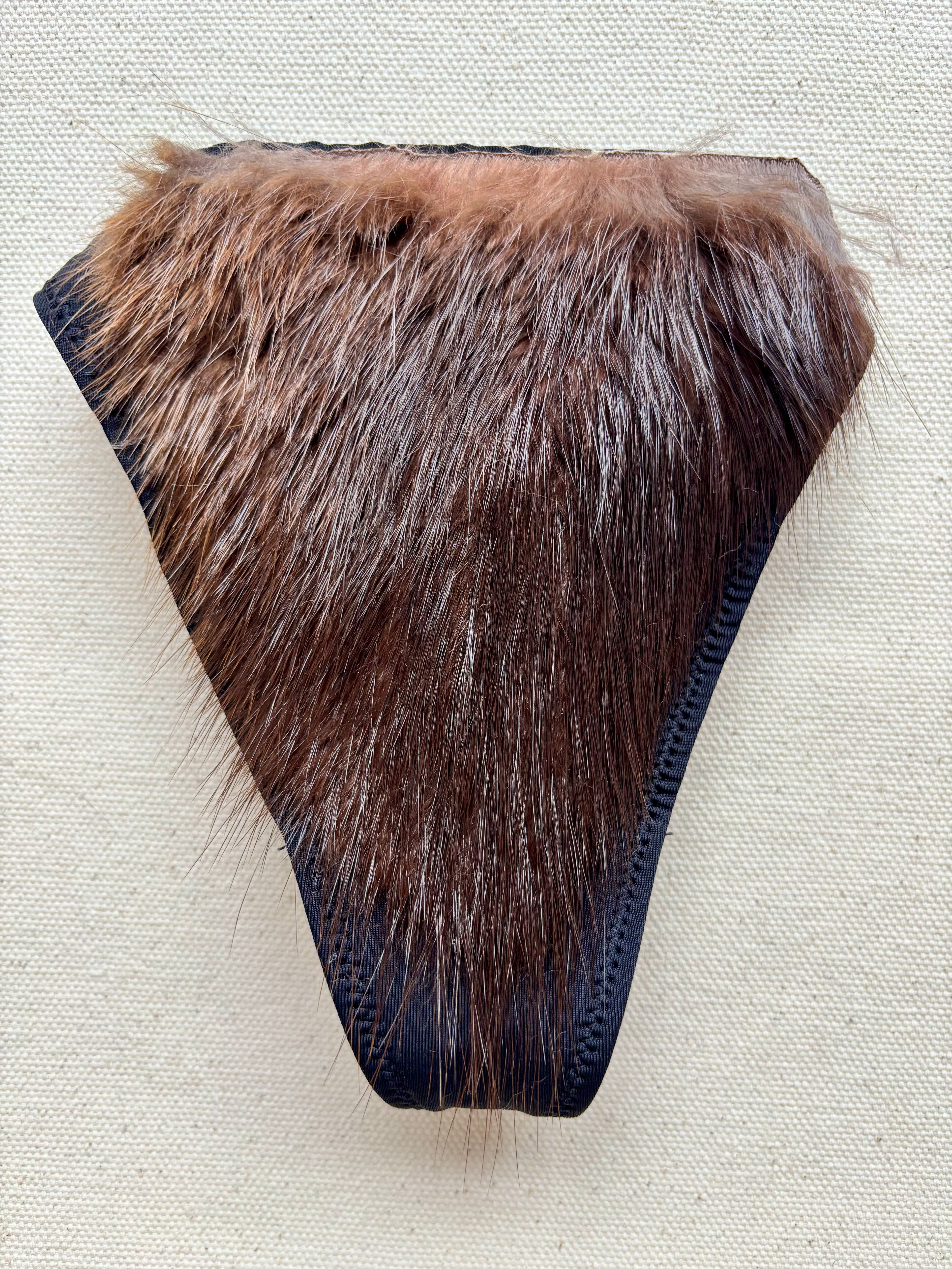 The Original Beaver