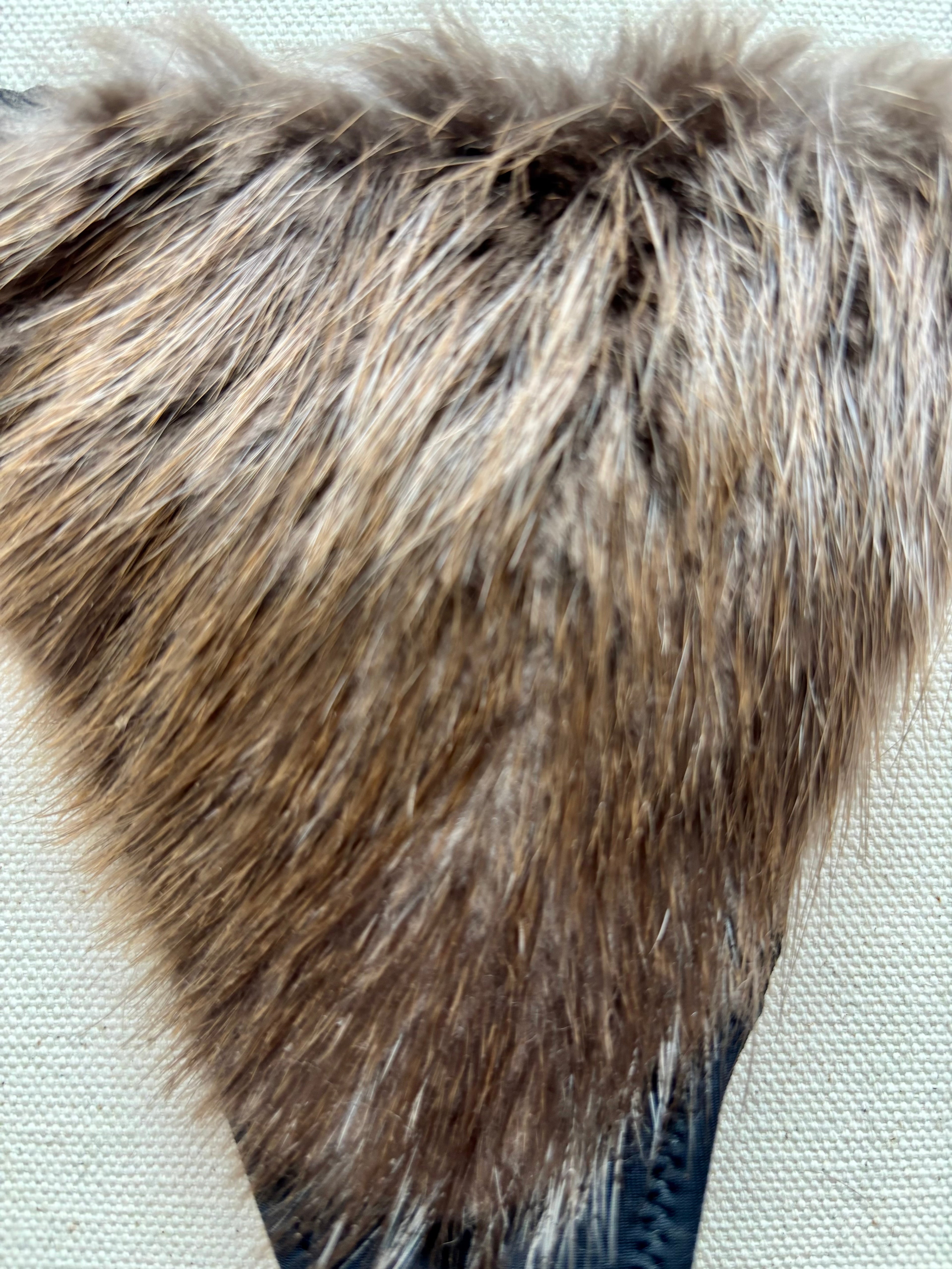 The Original Beaver