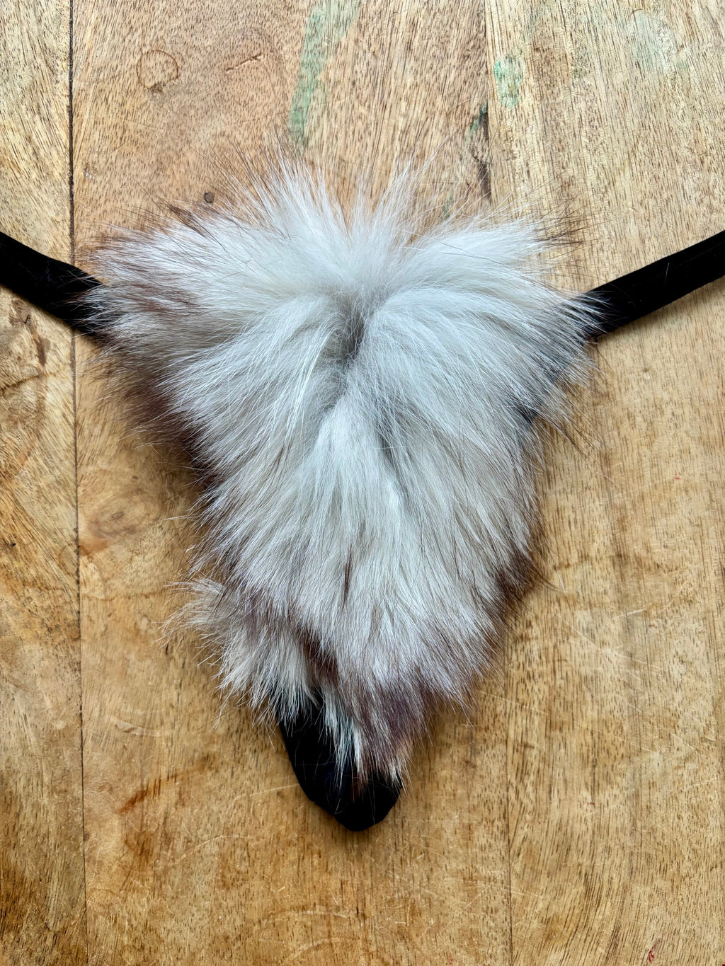 The Silver Fox