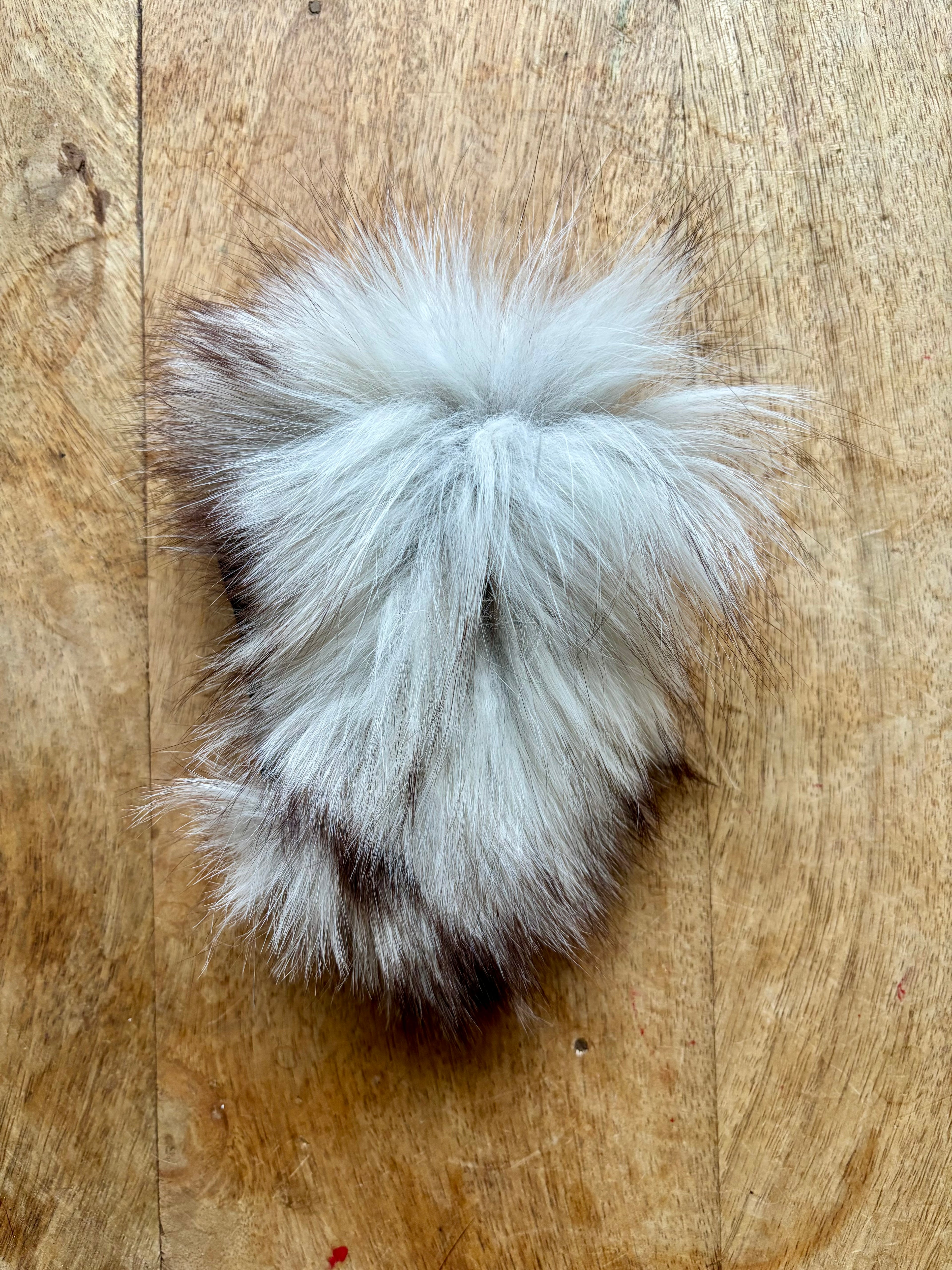 The Silver Fox