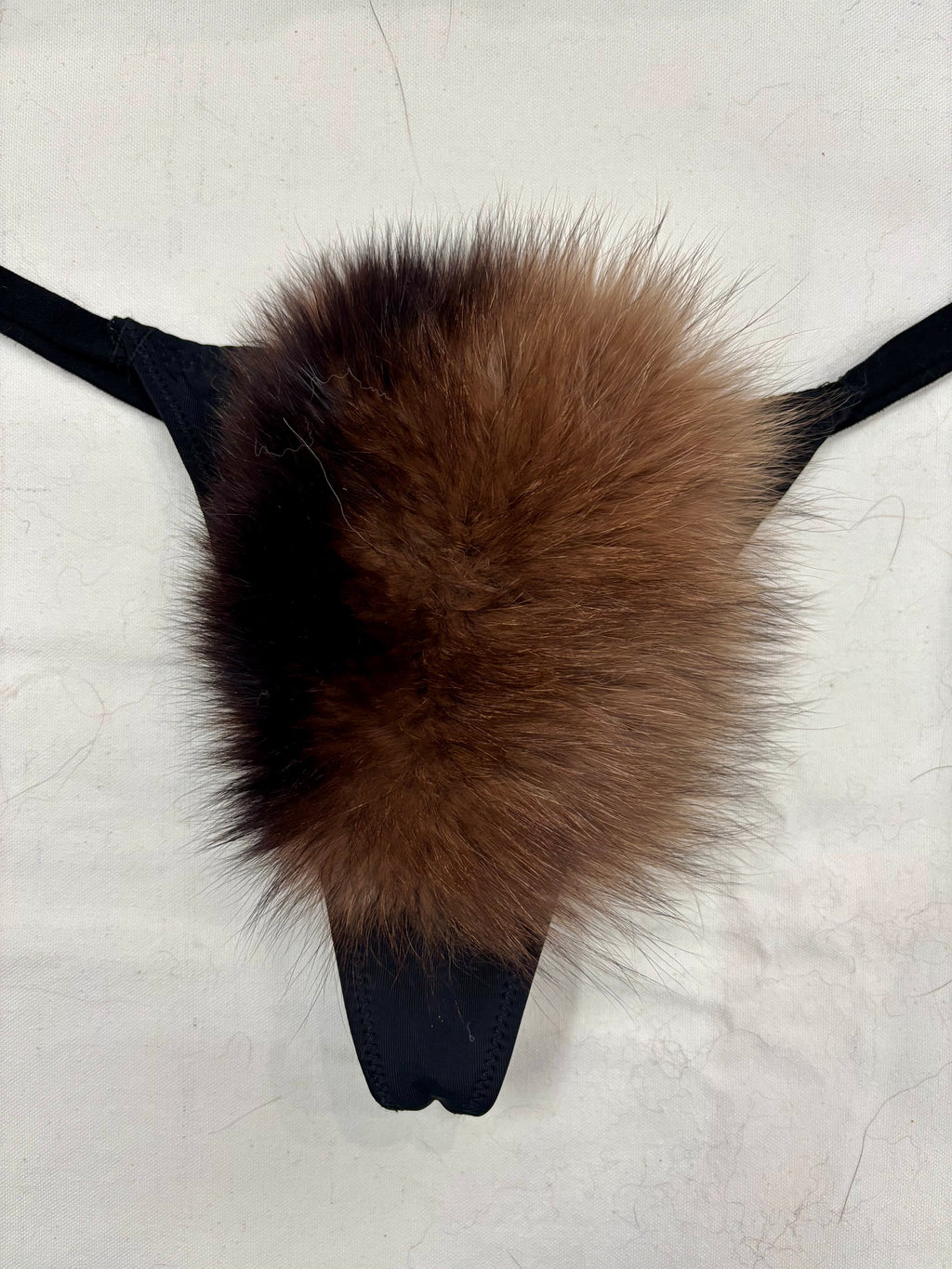The Vixen