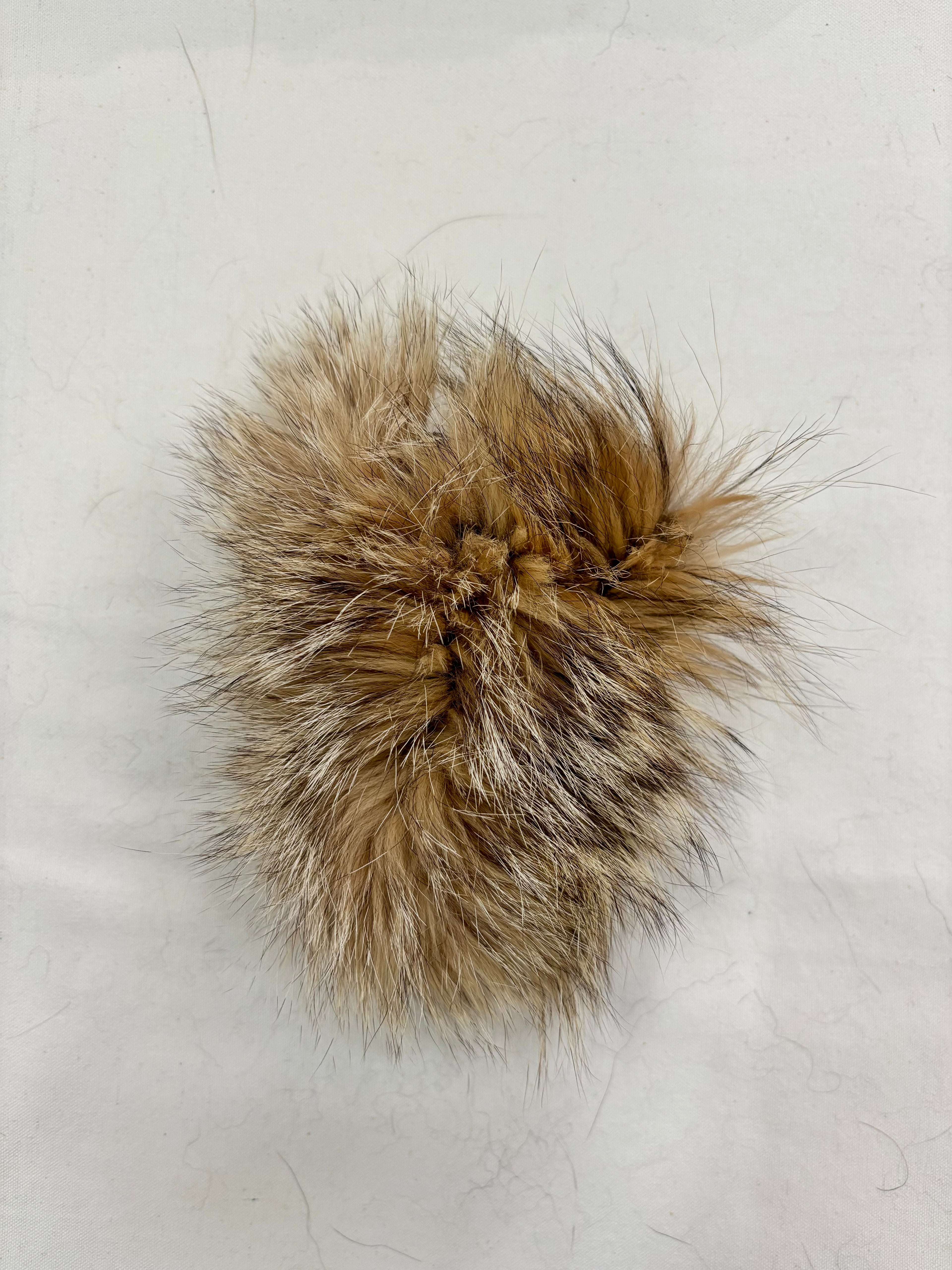 Prairie Queen