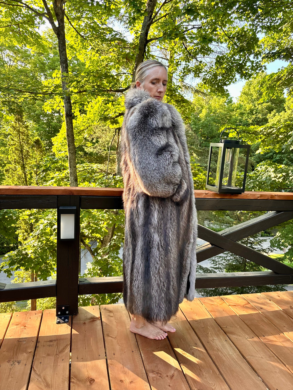 Chat Sauvage with Silver Fox Trim
