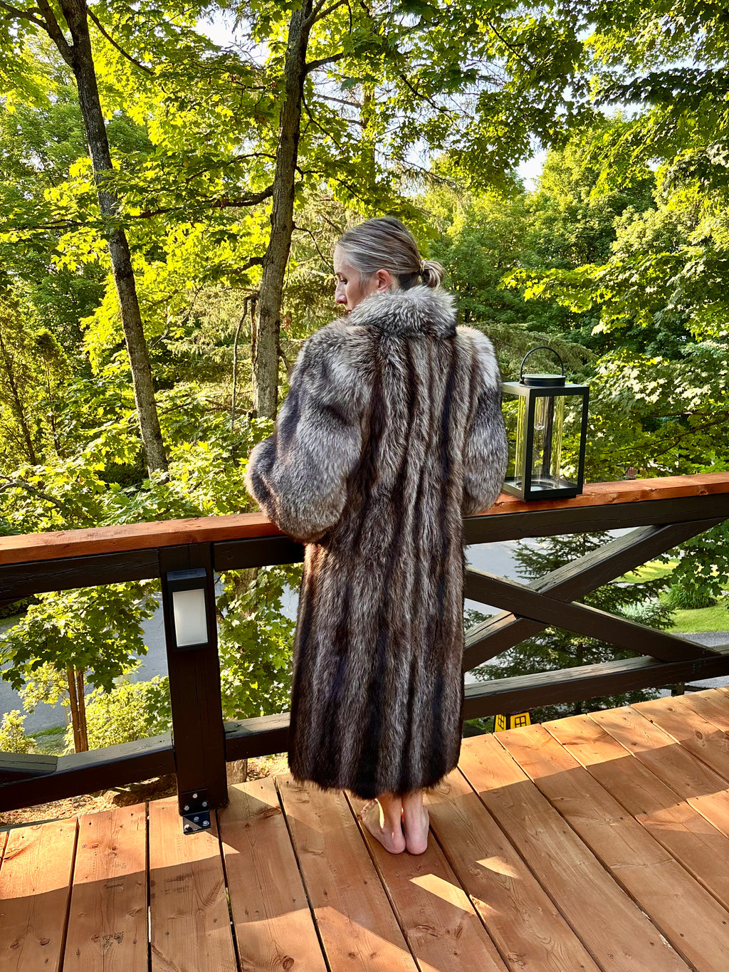 Chat Sauvage with Silver Fox Trim