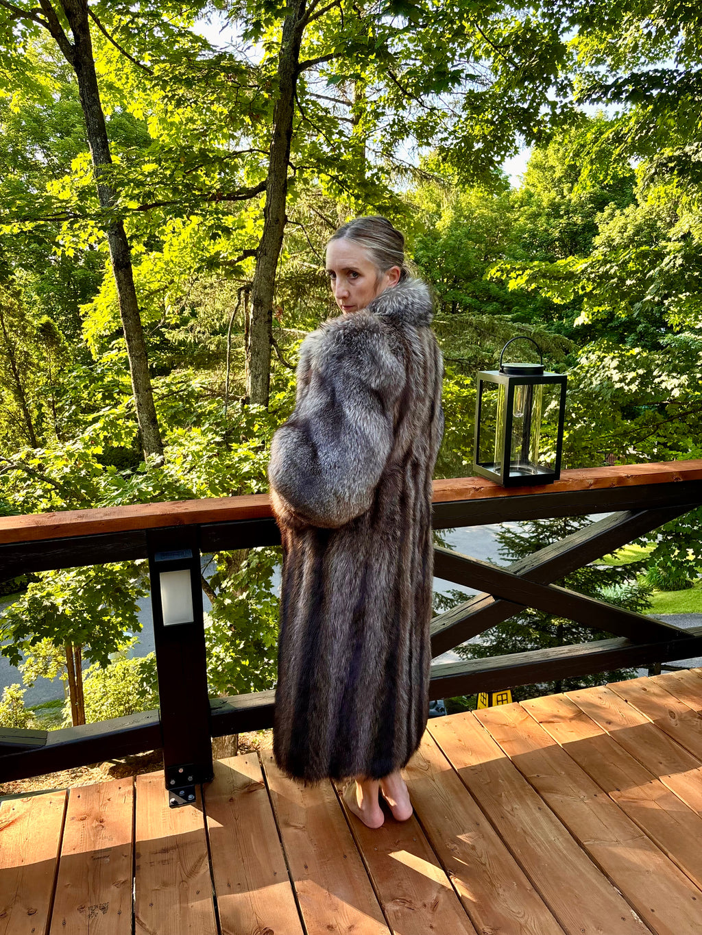 Chat Sauvage with Silver Fox Trim