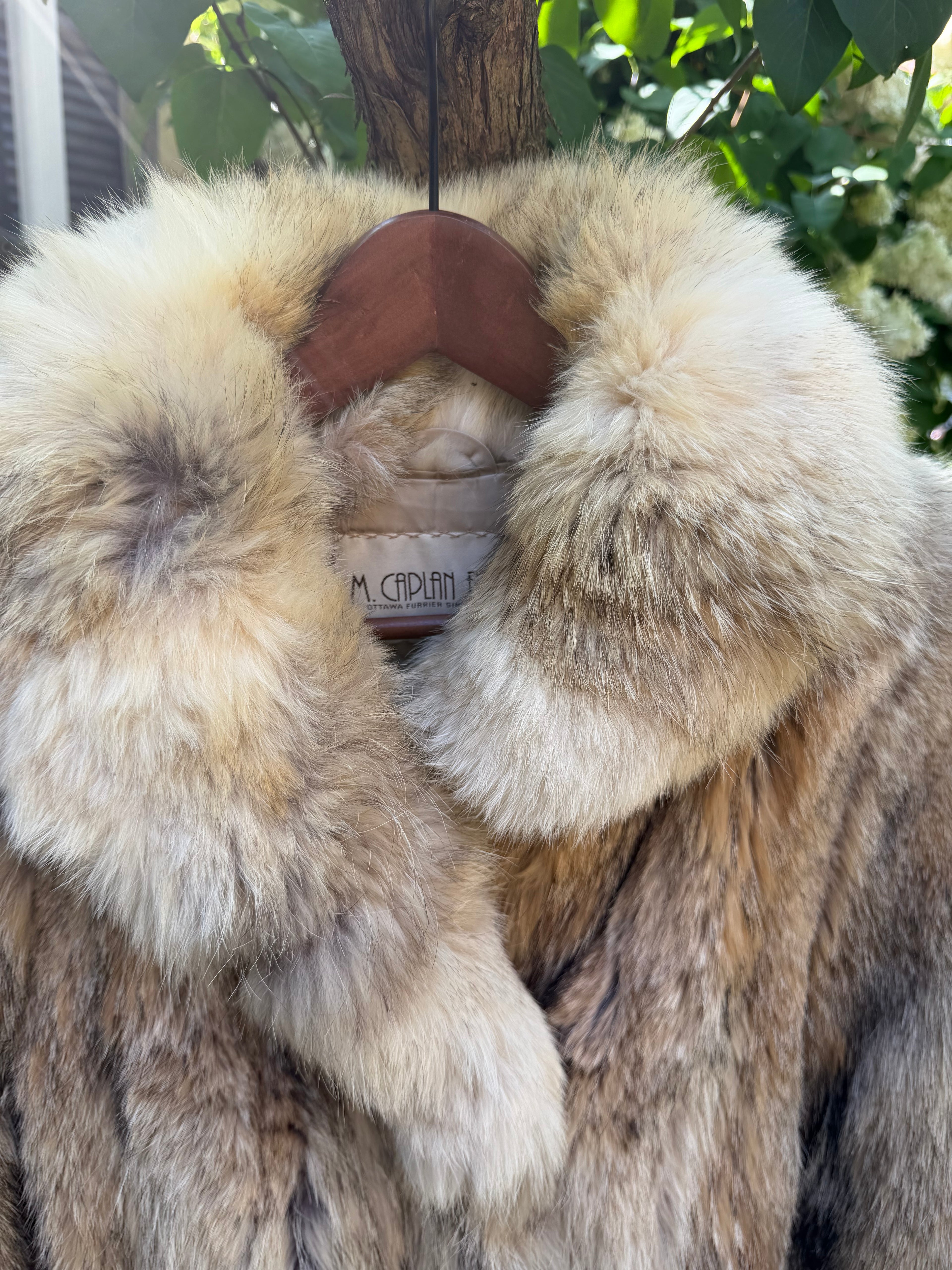 Silver-Beige Coyote Fur Coat