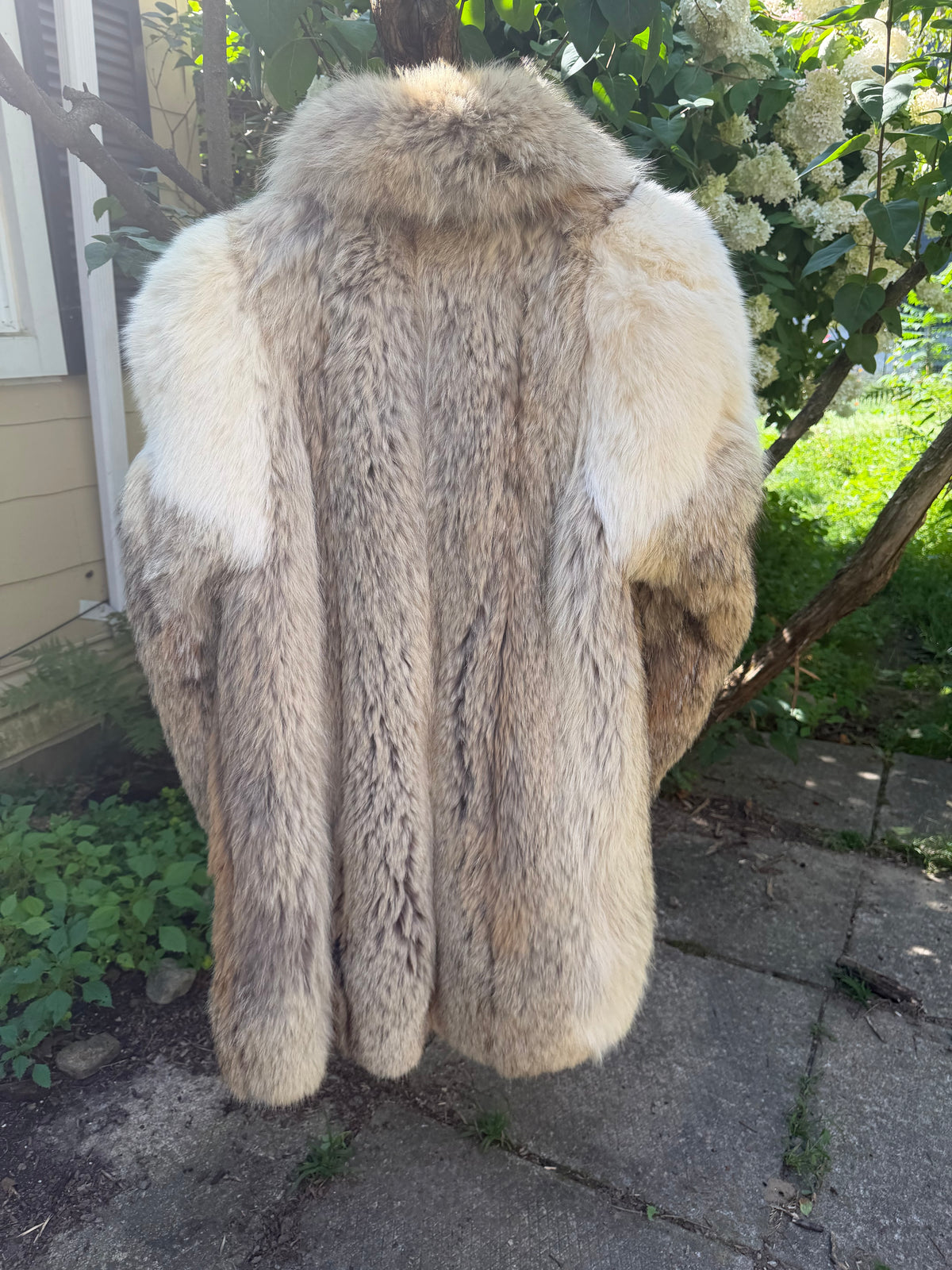 Coyote & Cream Fox Fur Coat